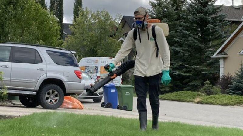 Buzz Boss Worker Spraying