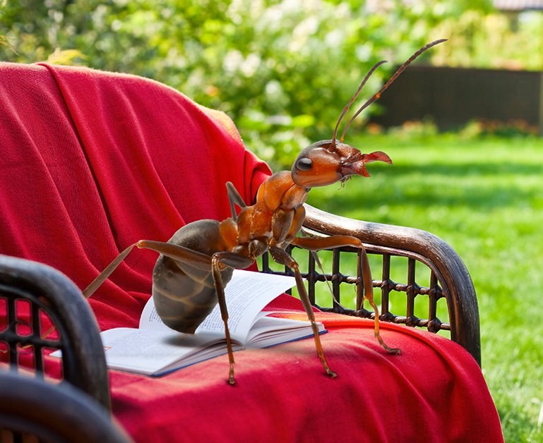 A big ant standing on a lawn chair