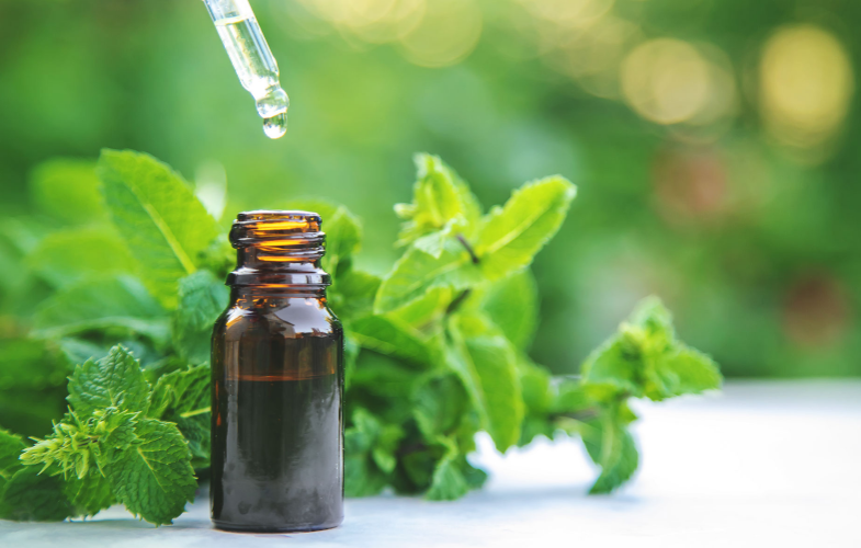 Peppermint Oil In Front Of Peppermint Plant