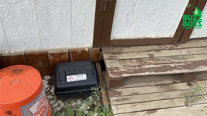 rodent trap in a yard
