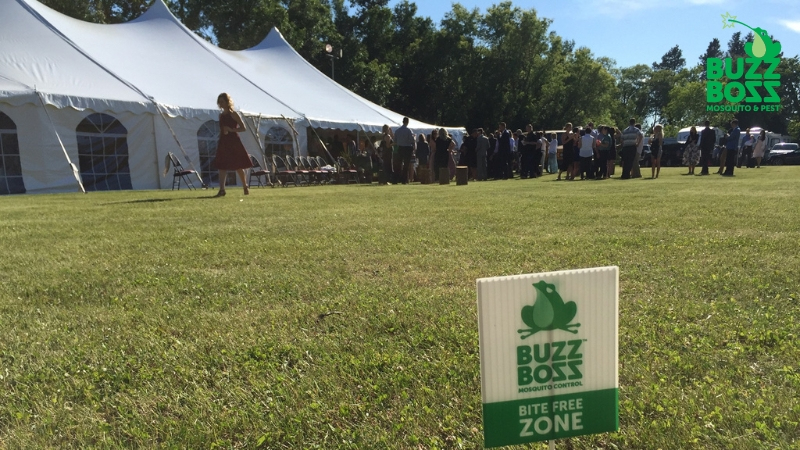 buzz boss sign on a lawn at an event