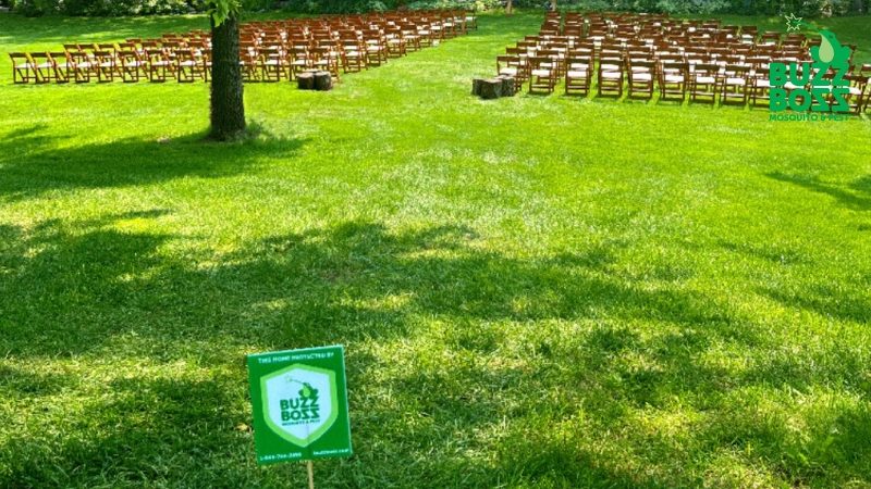 buzz boss sign on a lawn with chairs set up in the back