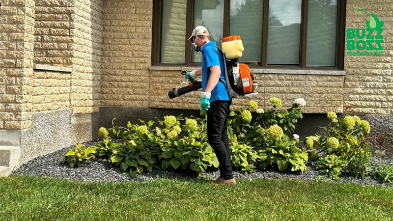 buzz boss worker in yard in saskatoon