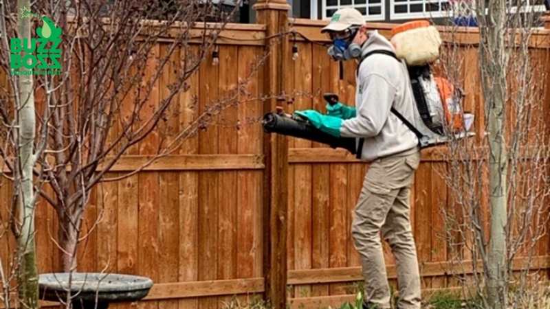 Buzz Boss worker spraying mosquitos in a yard