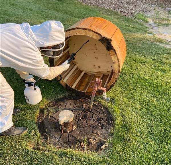 Buzz Boss Technician Spraying Wasp Nest