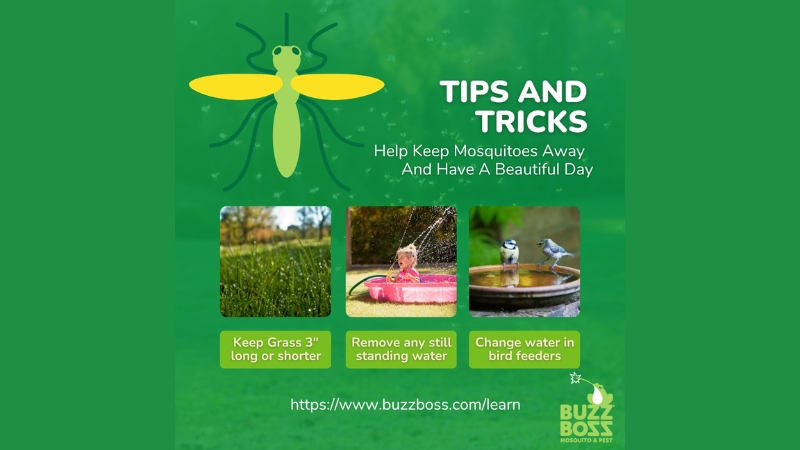 Buzz Boss Tips and Tricks for Mosquito Protection