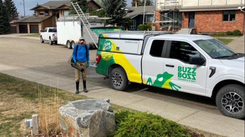 Buzz Boss Worker Truck