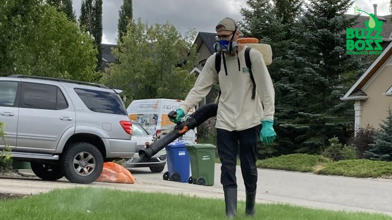 buzz boss worker spraying for mosquitos