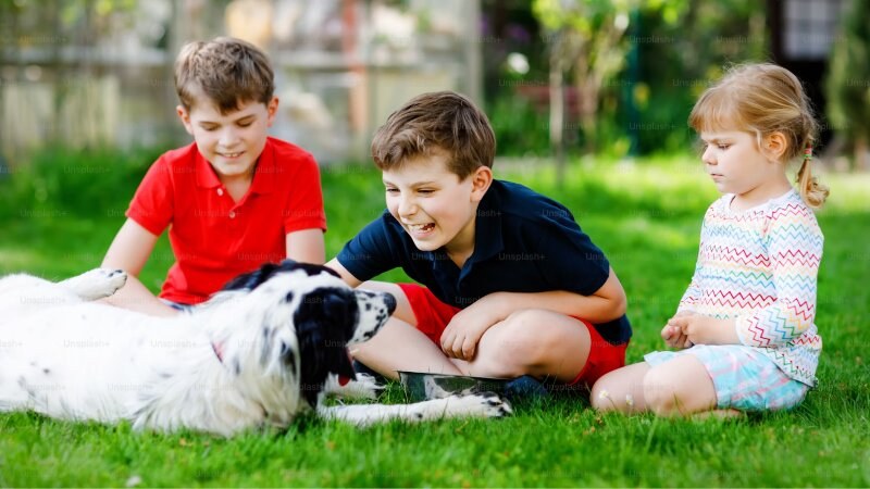 Three children playing with a dog on the grass