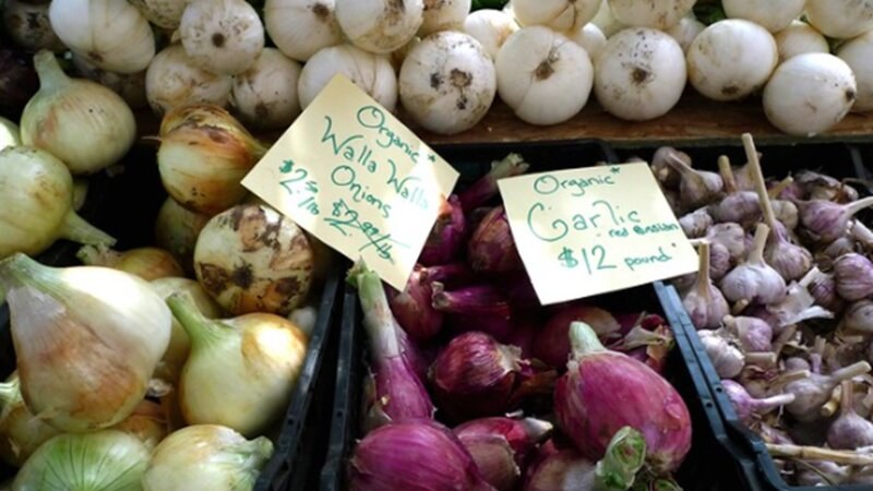 Onions and Garlic at the farmer's market