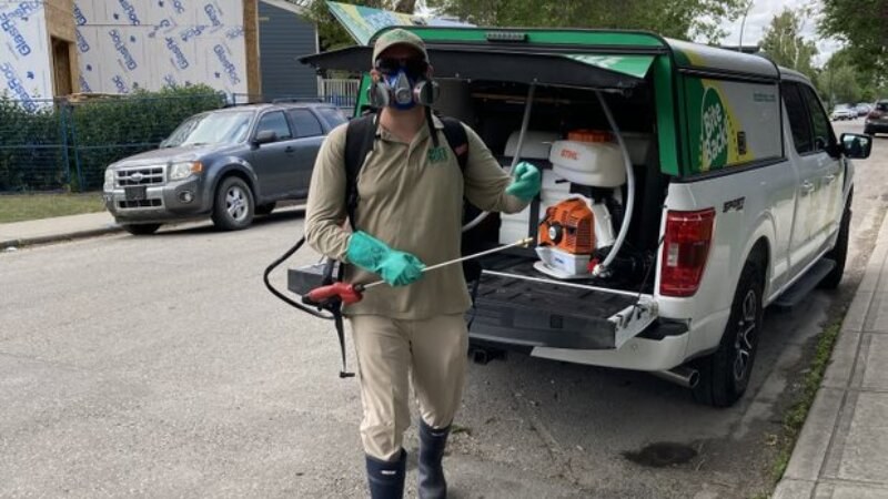 Buzz Bozz worker using spray equipment against mosquitos
