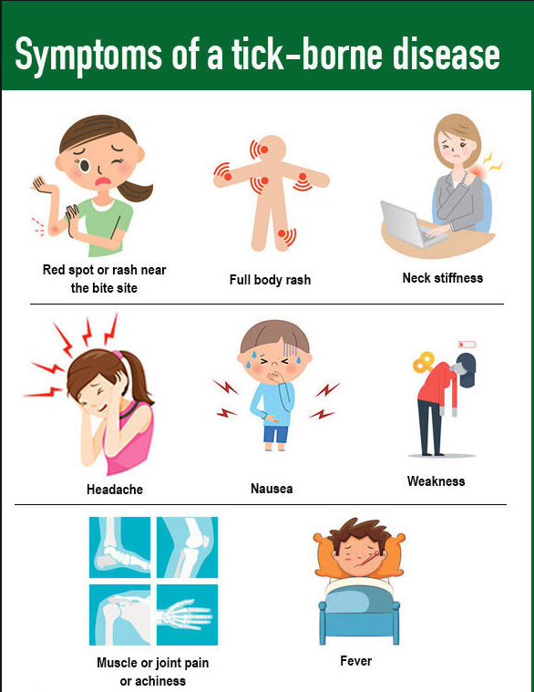 symptoms-of-tick-borne-disease