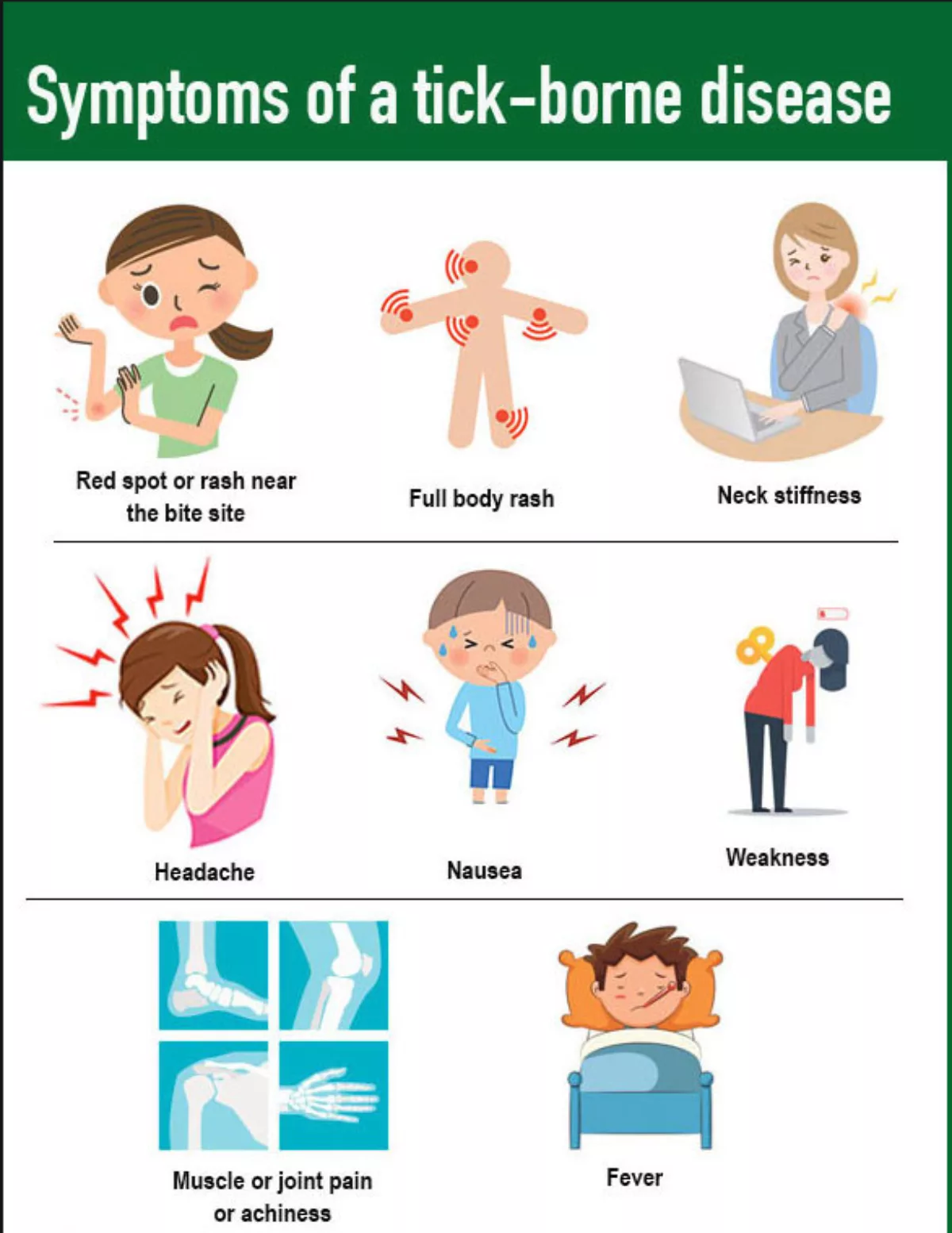 Illustrations showing symptoms of tick borne disease